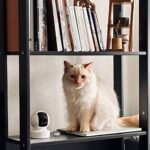 Kasa 1080p Indoor Pan/Tilt Wired Security Camera - Works as a Baby &amp; Pet Monitor, Motion Detection &amp; Tracking, 2-Way Audio, Night Vision, Subscription-Free Local Storage or Optional Cloud, EC70 - Image 5