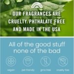 HoogaLife: Pack de 2 difusores de ambientador para coche. Difusores colgantes con aceite esencial de vainilla y nata para coche. Fragancia de larga duración (más de 45 días). Fabricados en EE. UU. Ambientadores para coche (V54)